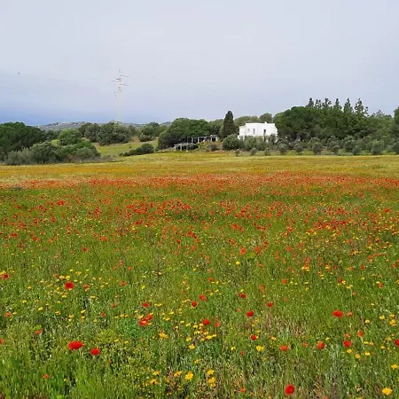Apartmán Agreen