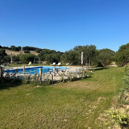 Agreen * אולביה