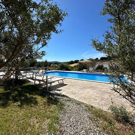 Agreen * אולביה