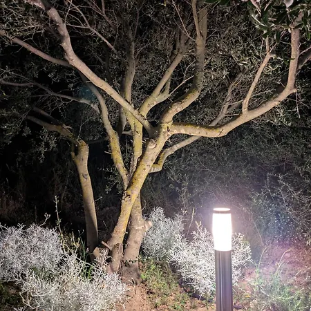 Agreen * אולביה