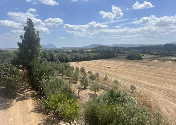 アパート Agreen オルビア