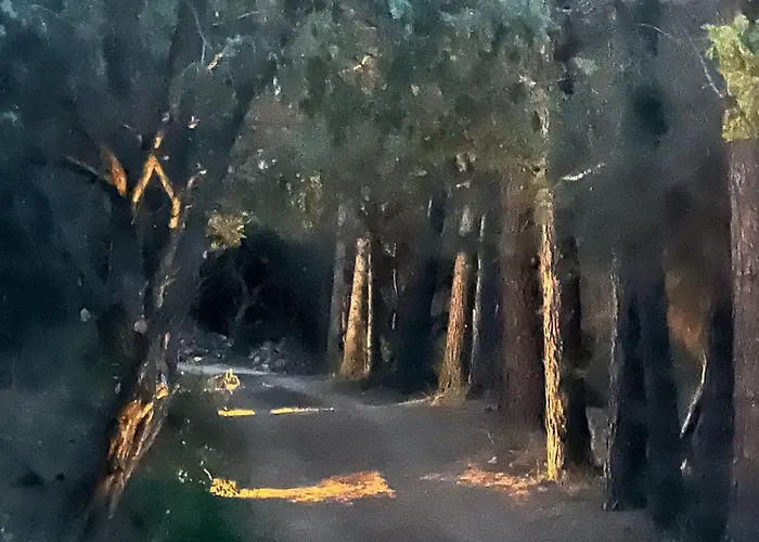 アパート Agreen *