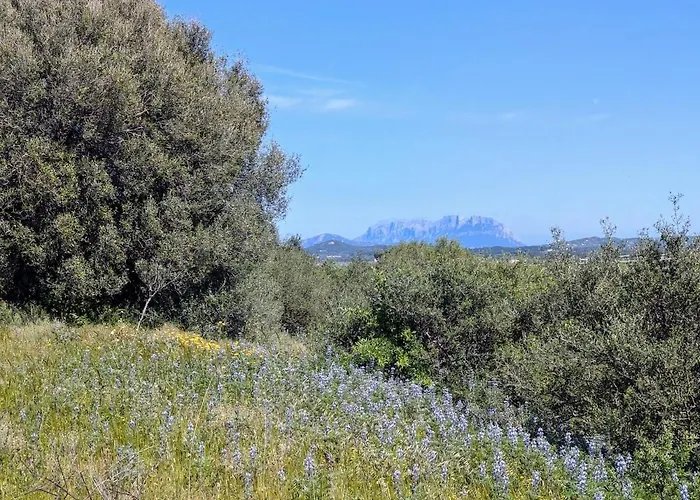 Agreen アパート オルビア