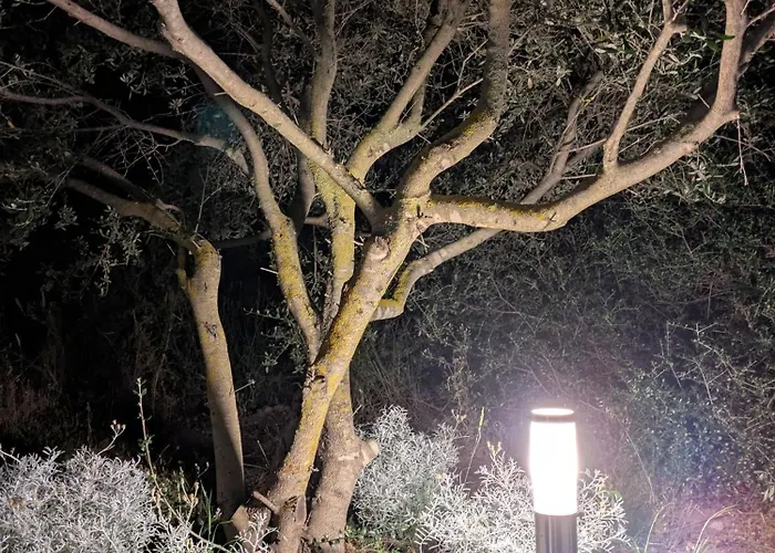 Agreen * オルビア